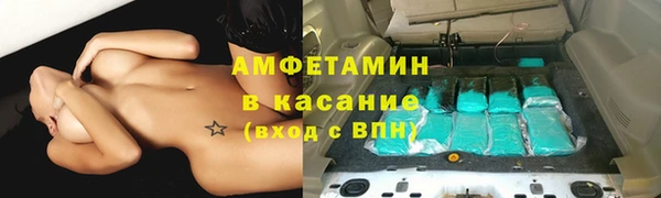 ГАЛЛЮЦИНОГЕННЫЕ ГРИБЫ Вяземский